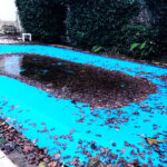 piscine avant nettoyage